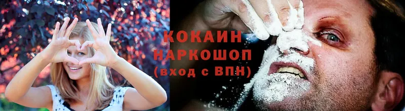 Cocaine 98%  как найти закладки  Западная Двина 